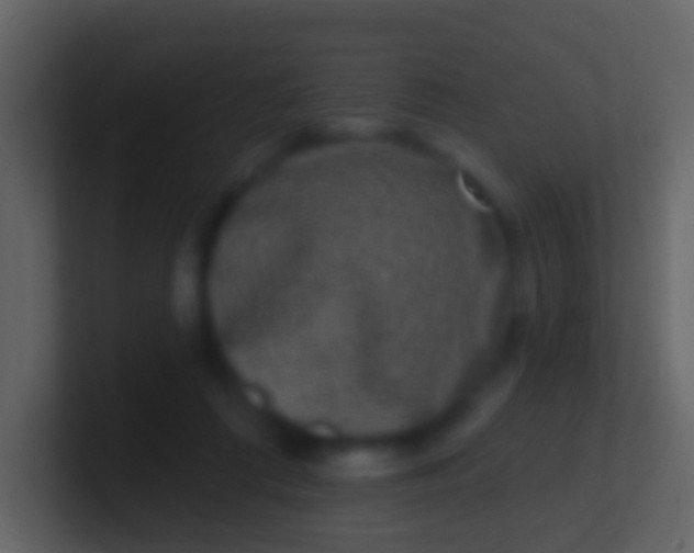 X0000100910312200807081130