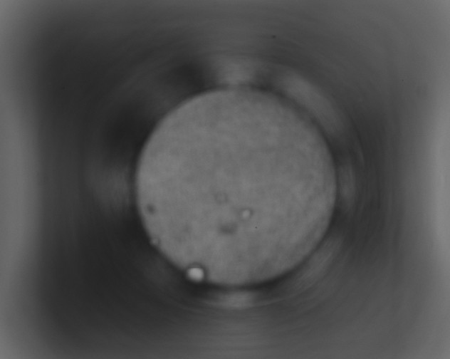 X0000100910313200807081130
