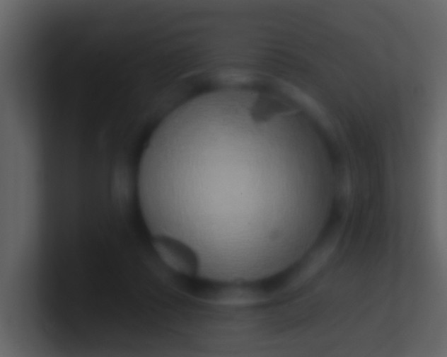 X0000100910315200807081130