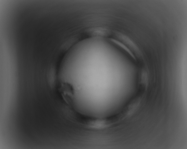 X0000100910318200807081130