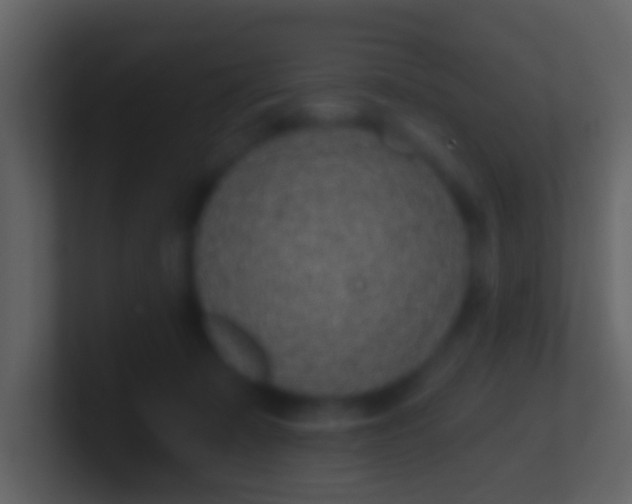 X0000100910319200807081130