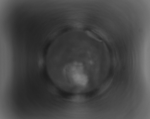 X0000100910320200807081130