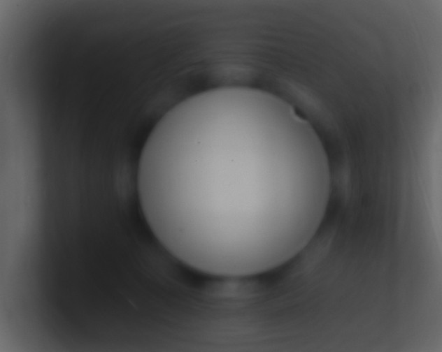 X0000100910323200807081129