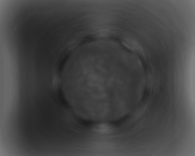X0000100910324200807081129