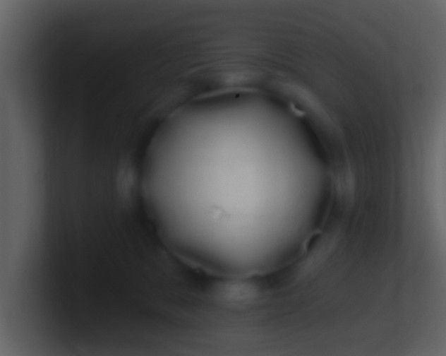 X0000100910327200807081129