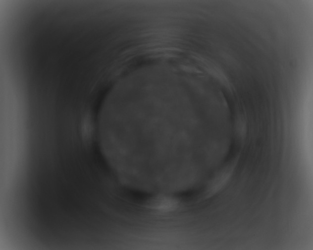 X0000100910328200807081129