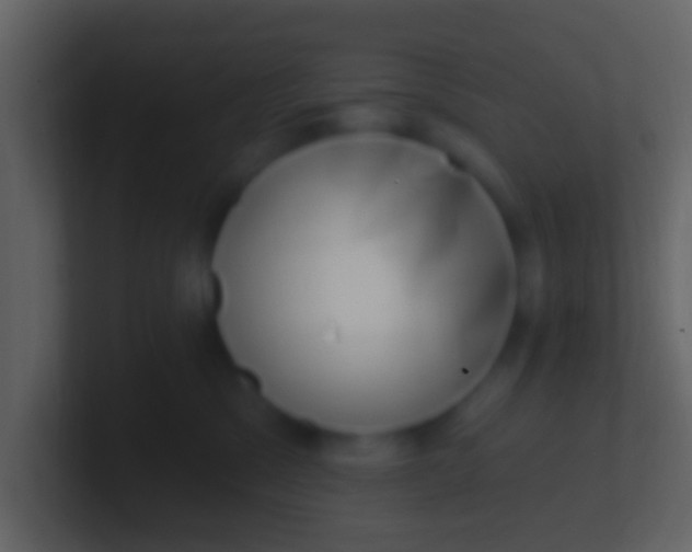 X0000100910329200807081129