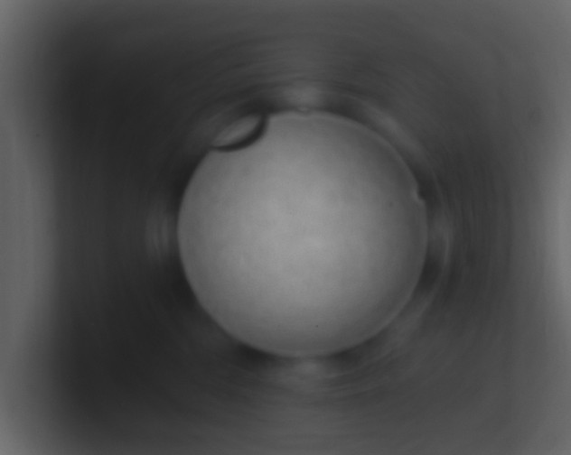 X0000100910330200807081129
