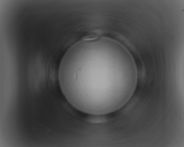 X0000100910331200807081129