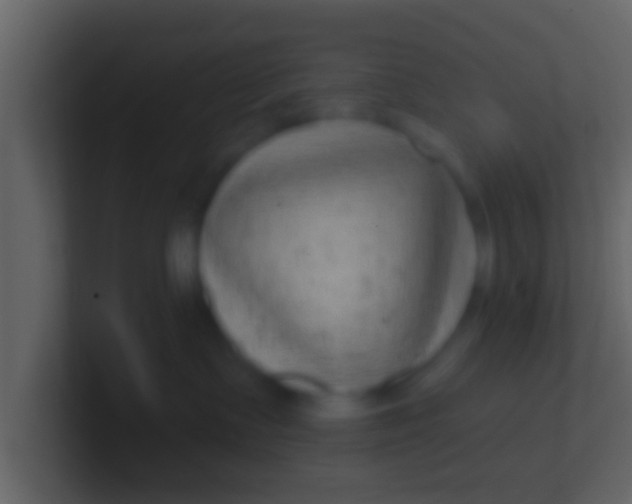 X0000100910335200807081129