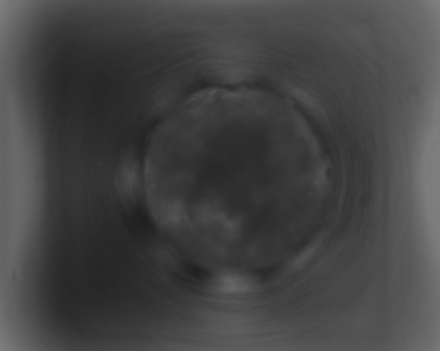 X0000100910336200807081129