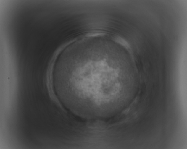 X0000100910337200807081129