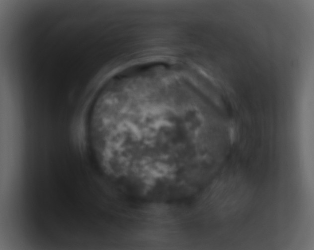 X0000100910339200807081129