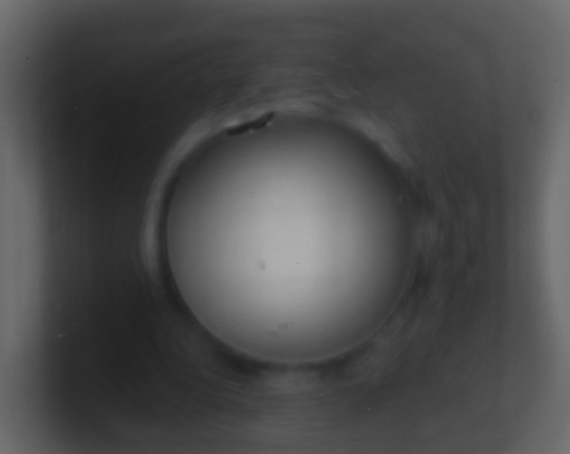 X0000100910340200807081129