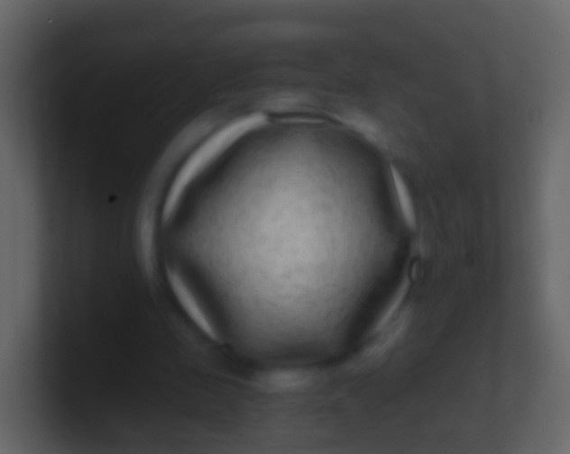 X0000100910341200807081129