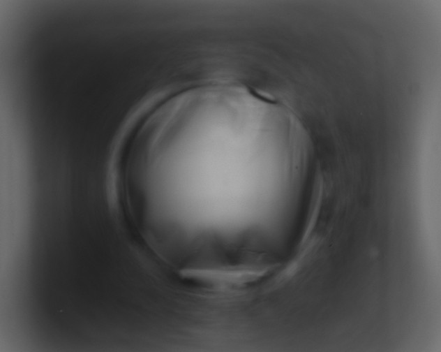X0000100910342200807081129