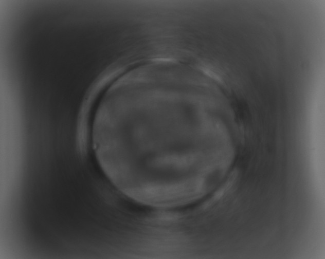 X0000100910343200807081129
