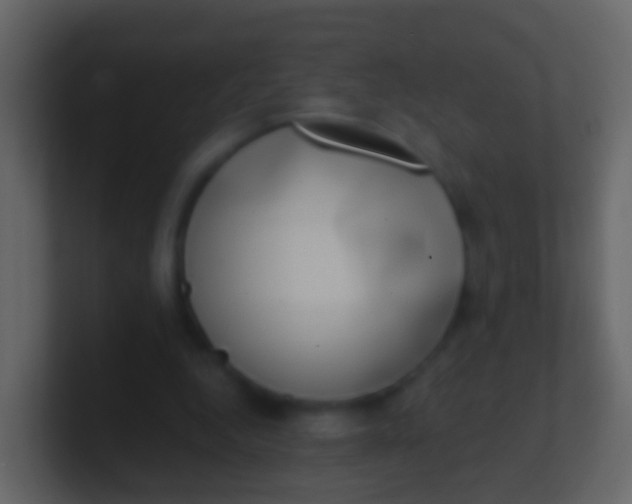 X0000100910344200807081129