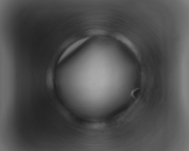 X0000100910345200807081129