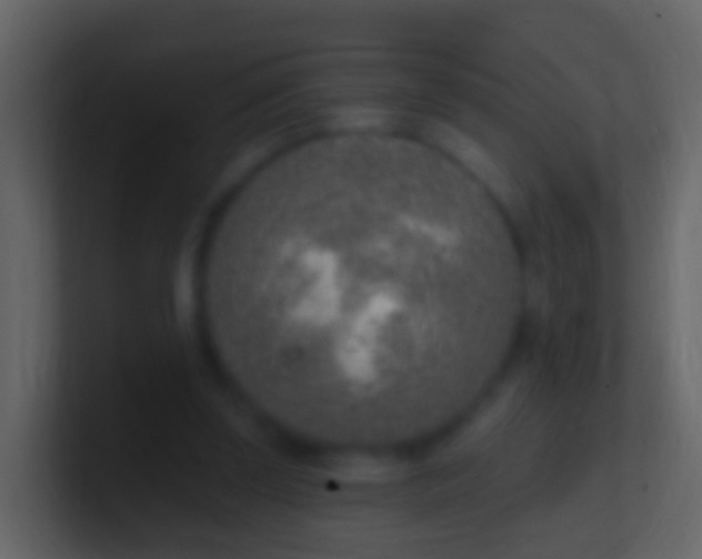 X0000100910347200807081129