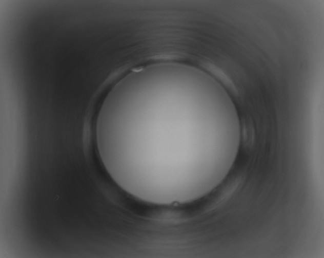 X0000100910348200807081129