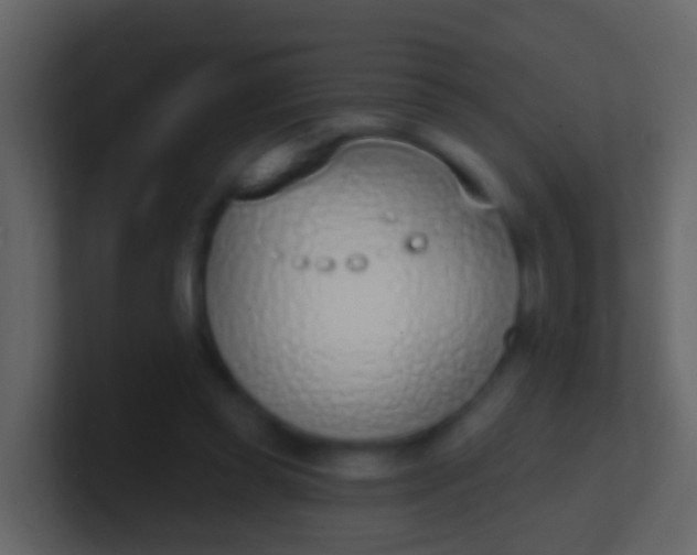X0000100910349200807081129
