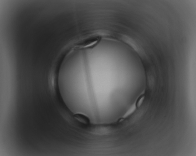 X0000100910350200807081129