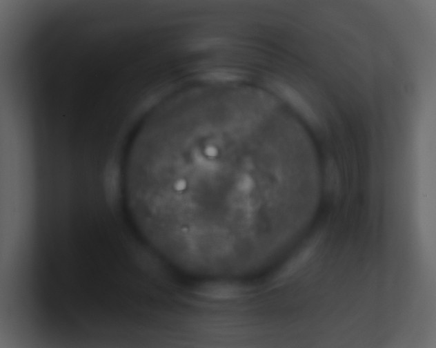 X0000100910351200807081129