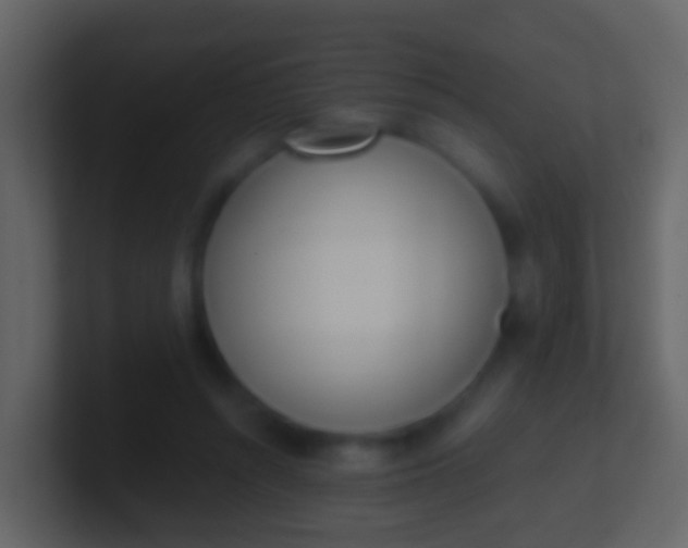 X0000100910352200807081129