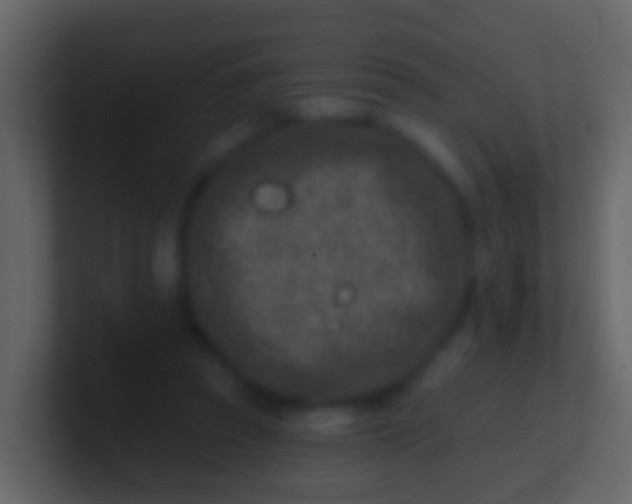 X0000100910353200807081129