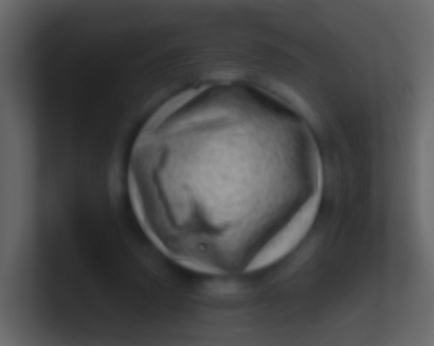 X0000100910354200807081129