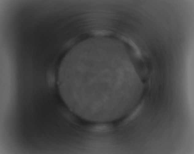 X0000100910357200807081129