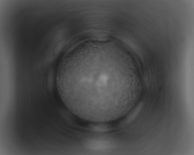 X0000100910359200807081129