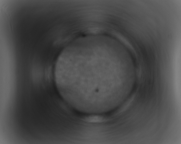 X0000100910361200807081129
