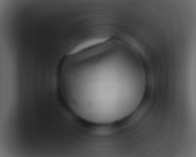 X0000100910362200807081129