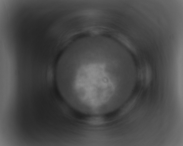 X0000100910363200807081129