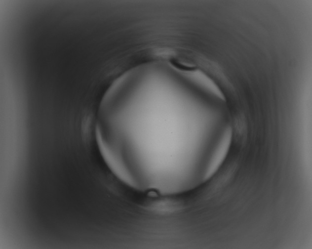 X0000100910364200807081129