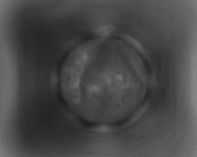 X0000100910365200807081129