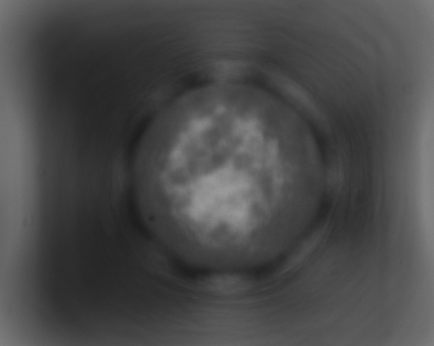 X0000100910367200807081129