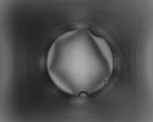 X0000100910368200807081129