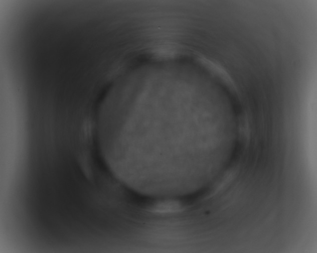 X0000100910369200807081129