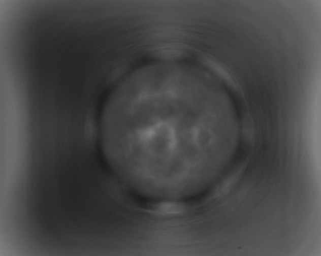 X0000100910371200807081129