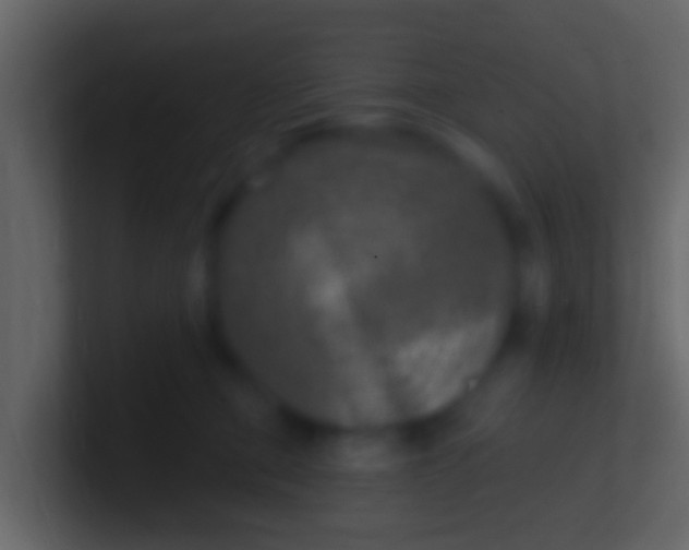 X0000100910373200807081129
