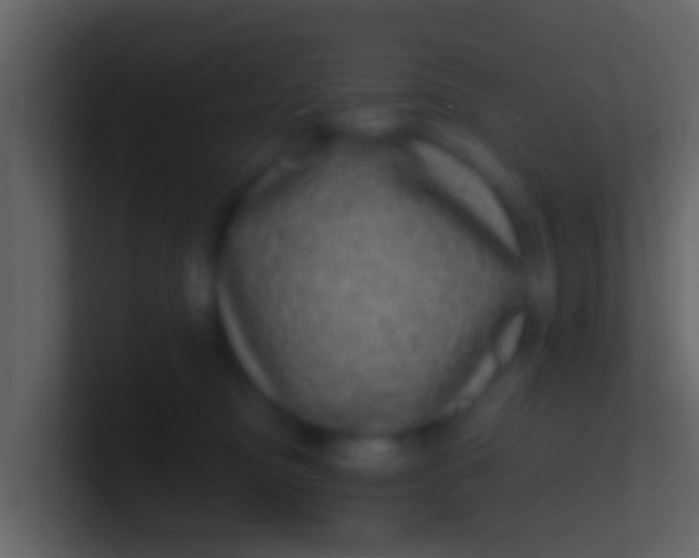 X0000100910374200807081129