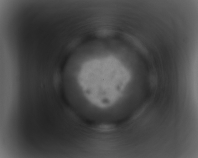 X0000100910375200807081129