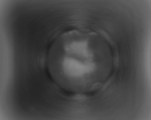 X0000100910376200807081129