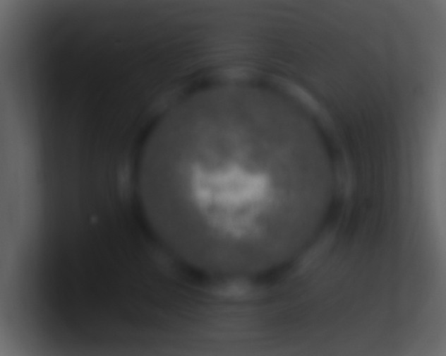 X0000100910377200807081129