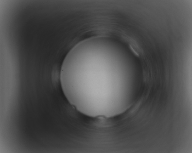 X0000100910382200807081129