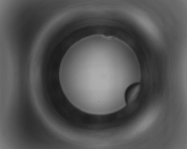 X0000100910383200807081129