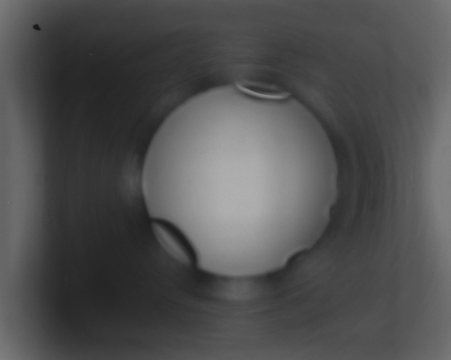 X0000100910384200807081129